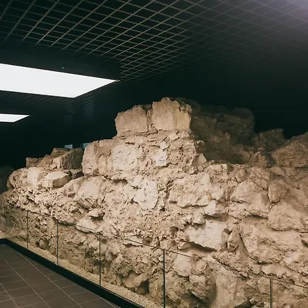 شقة Harmonica Old Town With Free Parking كراكوفيا